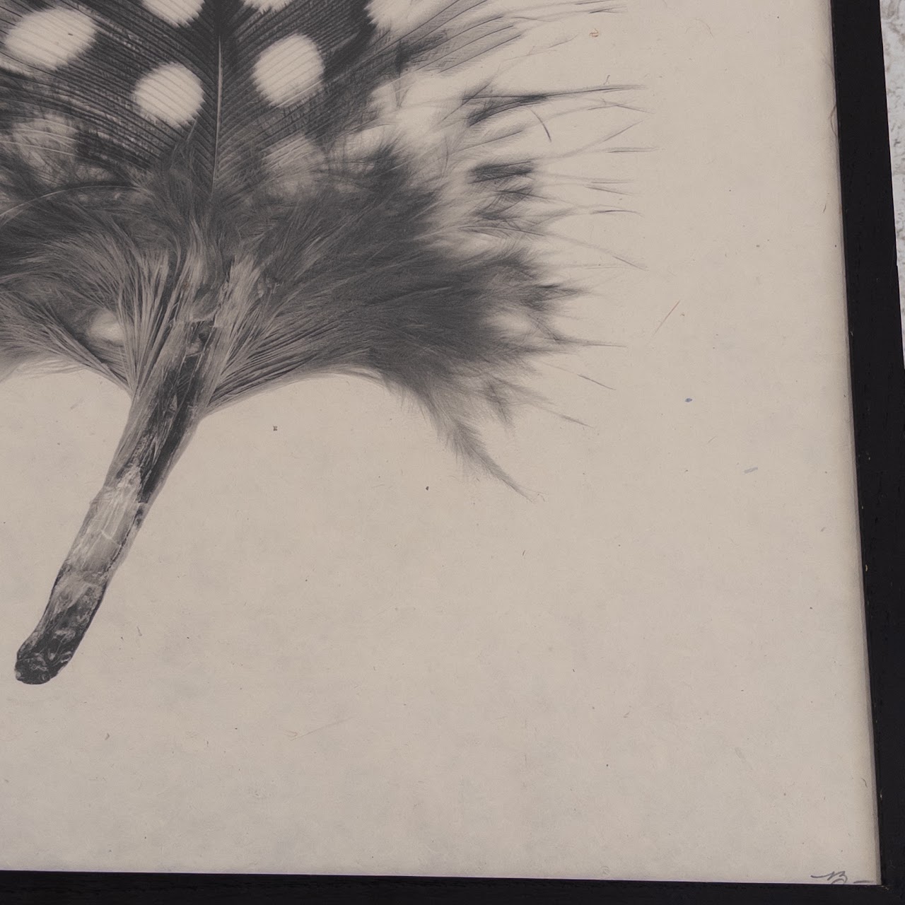 Signed 'Feather Study #1' Print