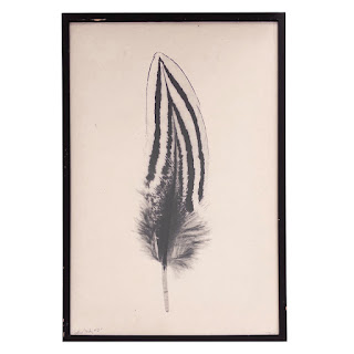 Signed 'Feather Study #2' Print