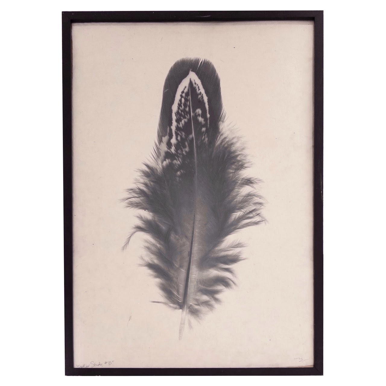 Signed 'Feather Study #3' Print