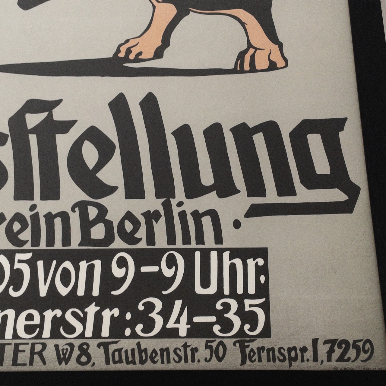 Hunde Ausstellung Dachshund Poster