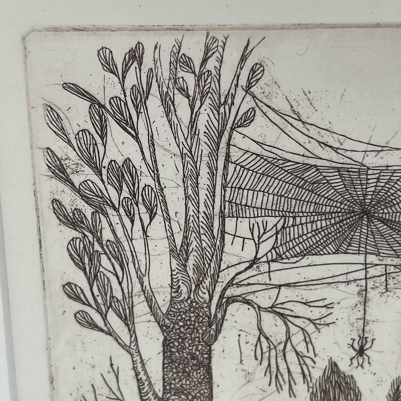 Peter Lasher Signed Botanical and Arachnid Etching