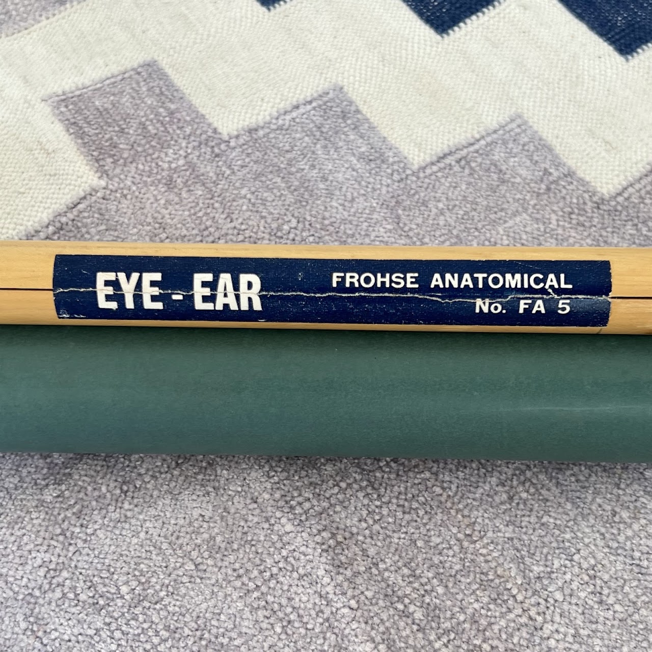 American Frohse Max Brodel Eye-Ear Anatomy Chart, 1918