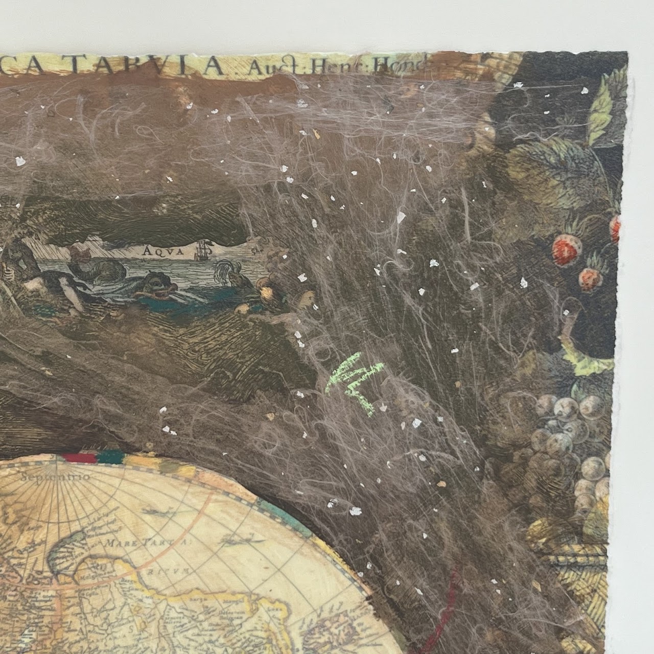 Starlie Sokol Hohne Signed Mixed Media Map Painting