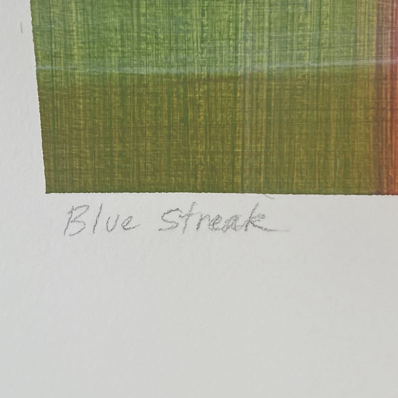 Betsy DeFusco 'Blue Streak' Signed Lithograph