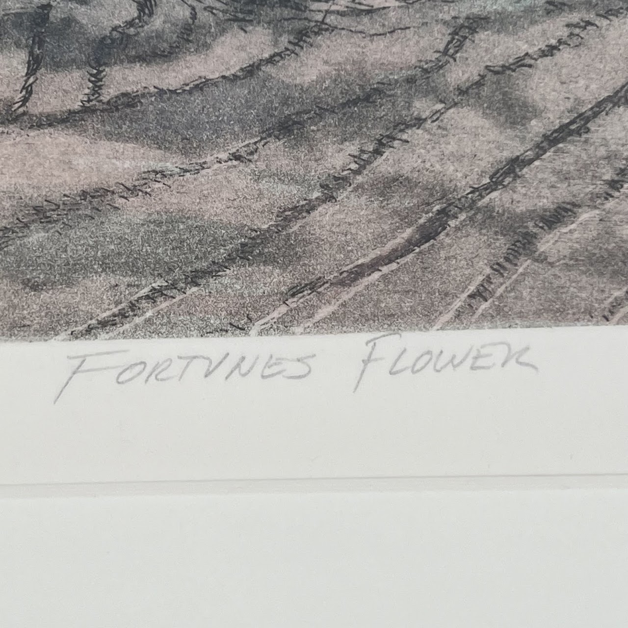 Joseph Essig 'Fortunes Flower' Signed Etching and Aquatint