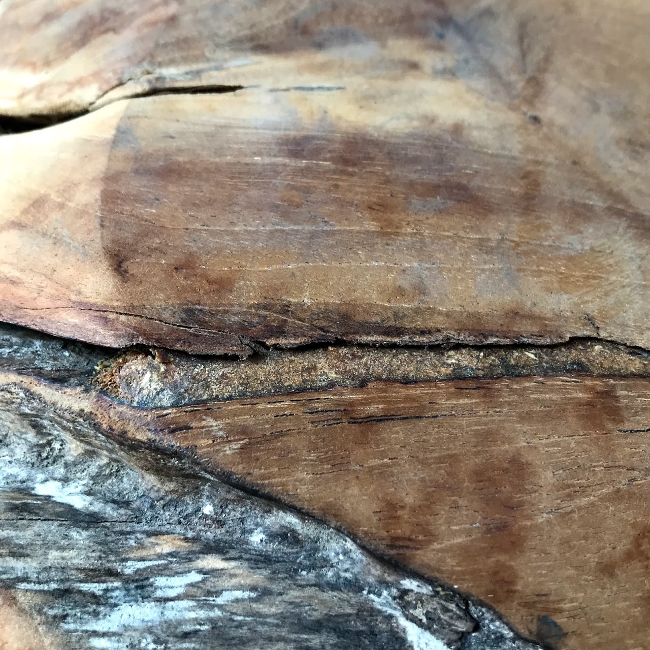 Teak Stump Side Table