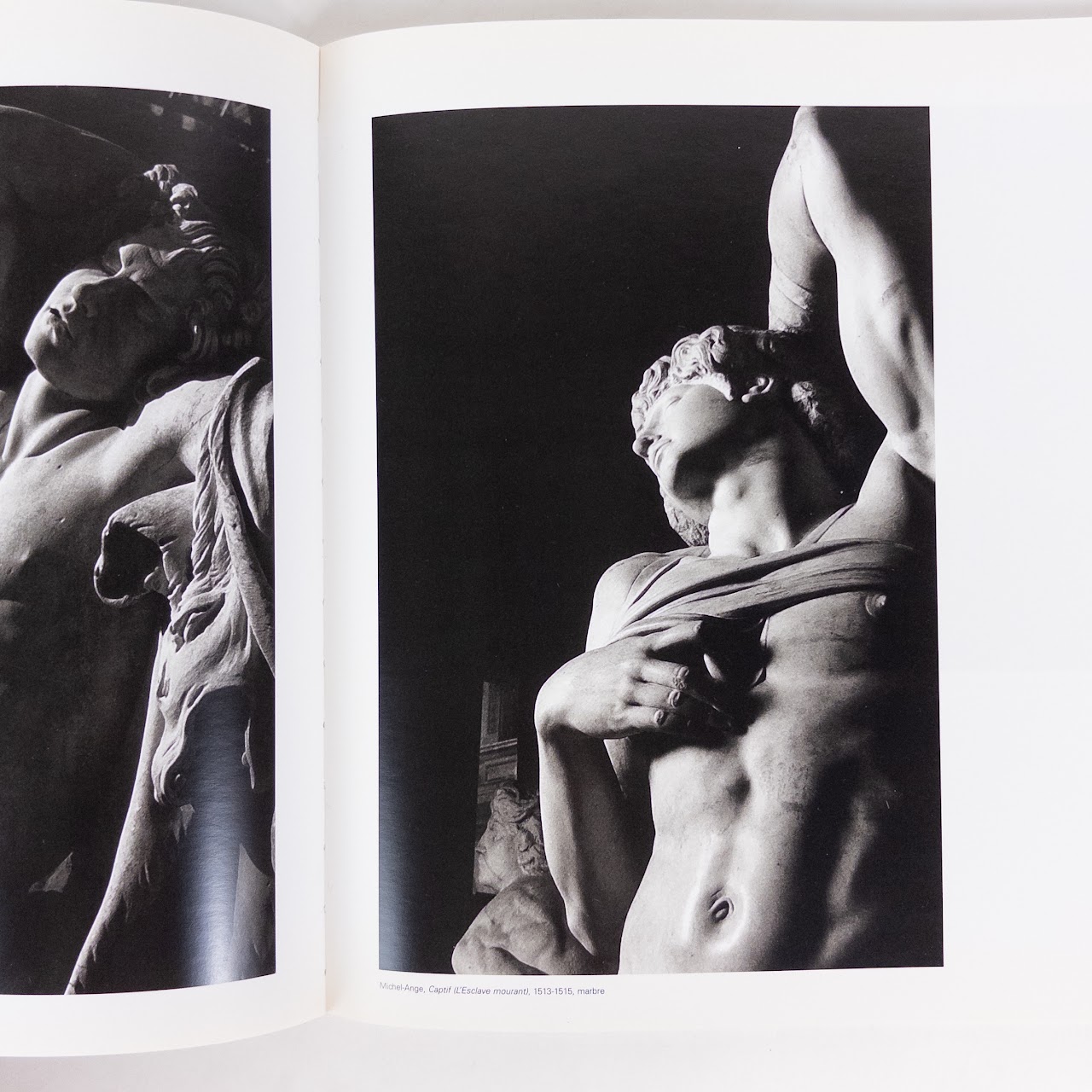 'Le Geste Surpris'  Photographies D' Revault Etienne Book