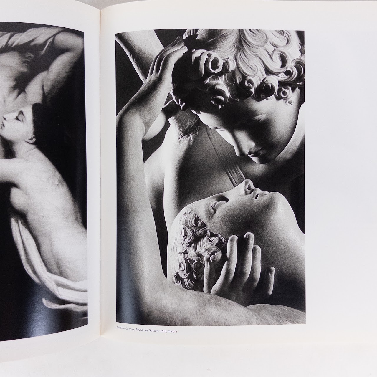 'Le Geste Surpris'  Photographies D' Revault Etienne Book