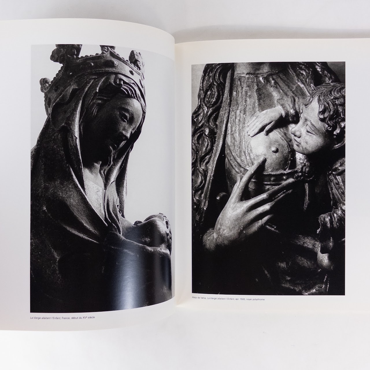 'Le Geste Surpris'  Photographies D' Revault Etienne Book