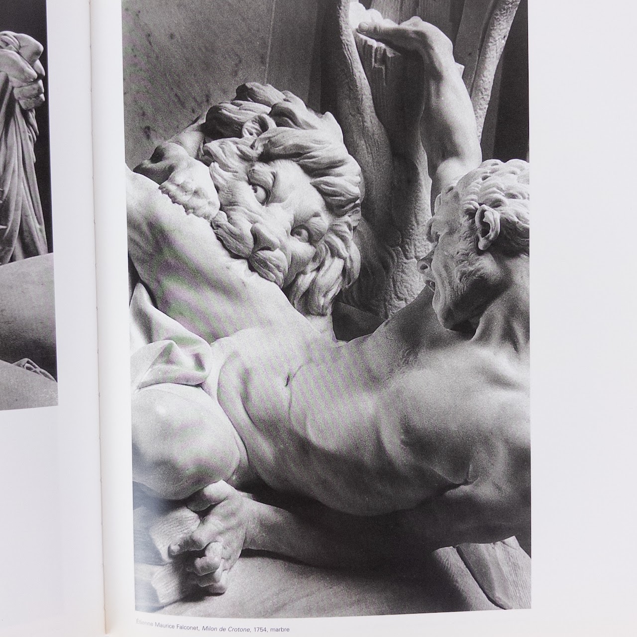 'Le Geste Surpris'  Photographies D' Revault Etienne Book