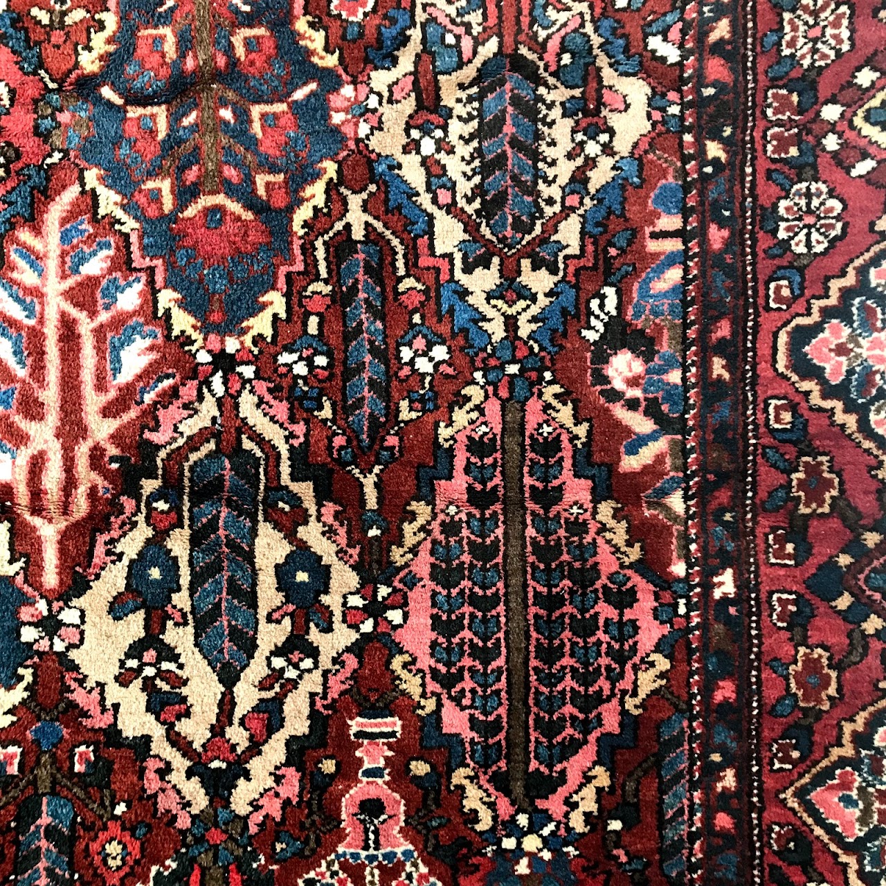 Wool Floral Diamond Carpet