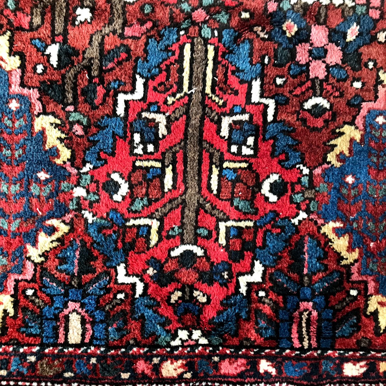 Wool Floral Diamond Carpet