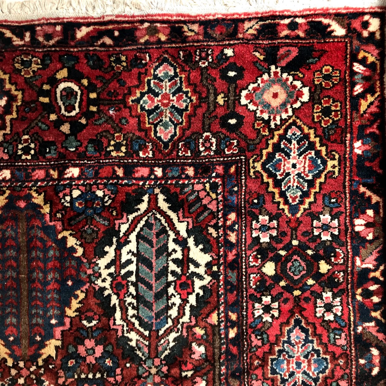 Wool Floral Diamond Carpet