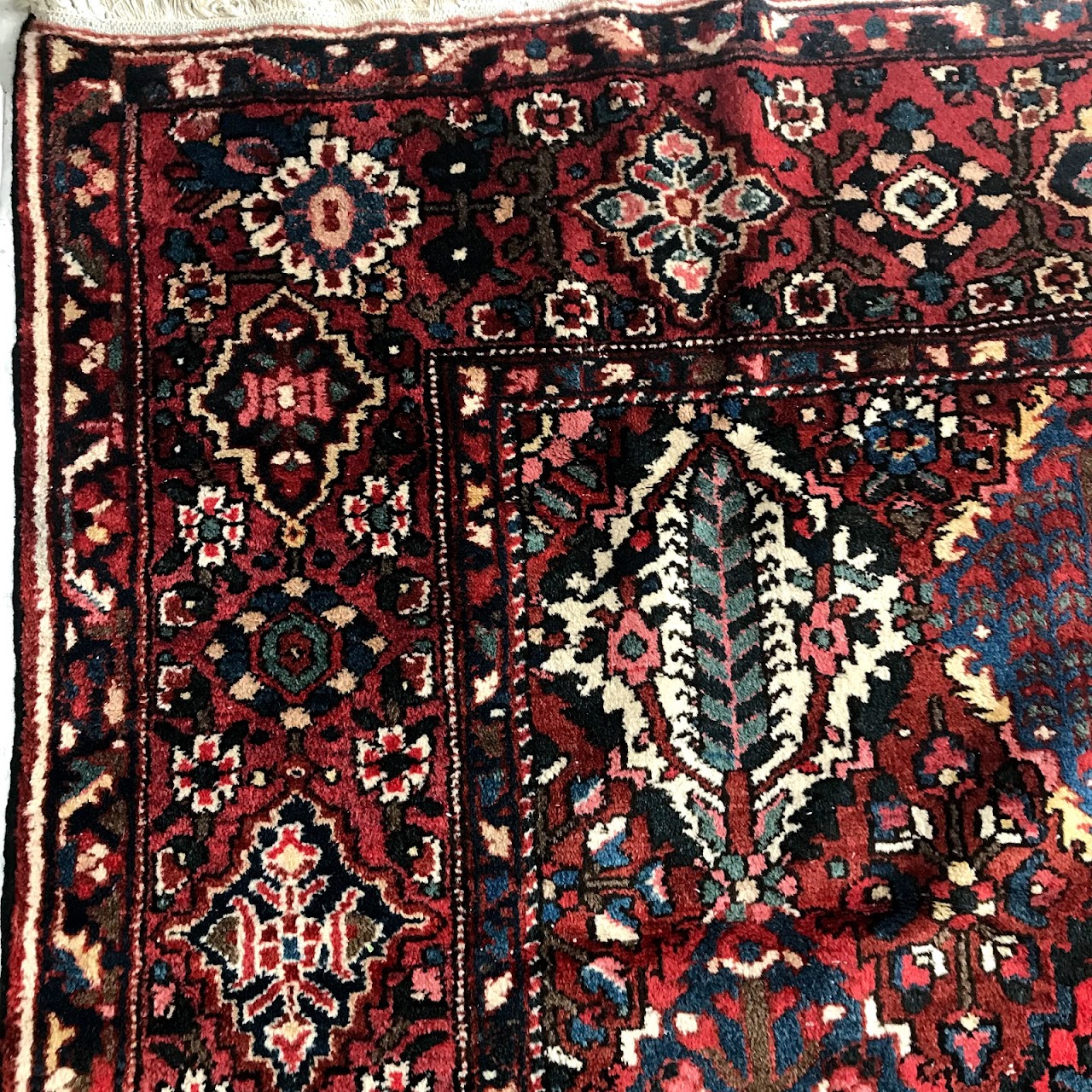 Wool Floral Diamond Carpet