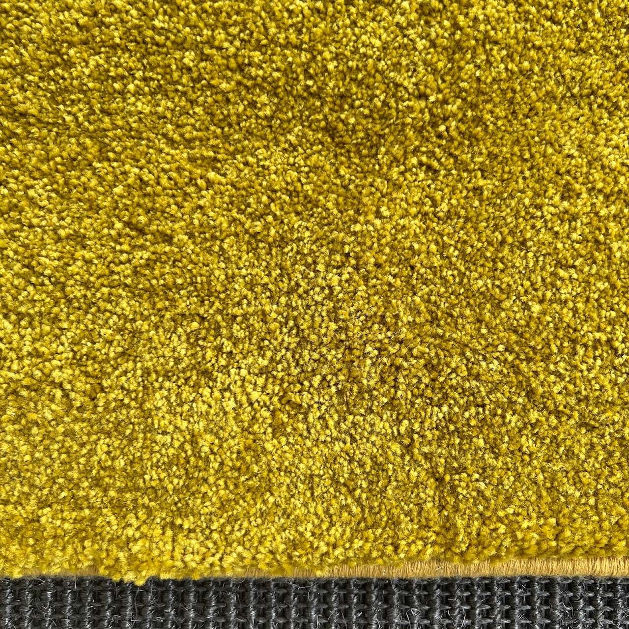 Stark Gold Deep Pile Area Rug