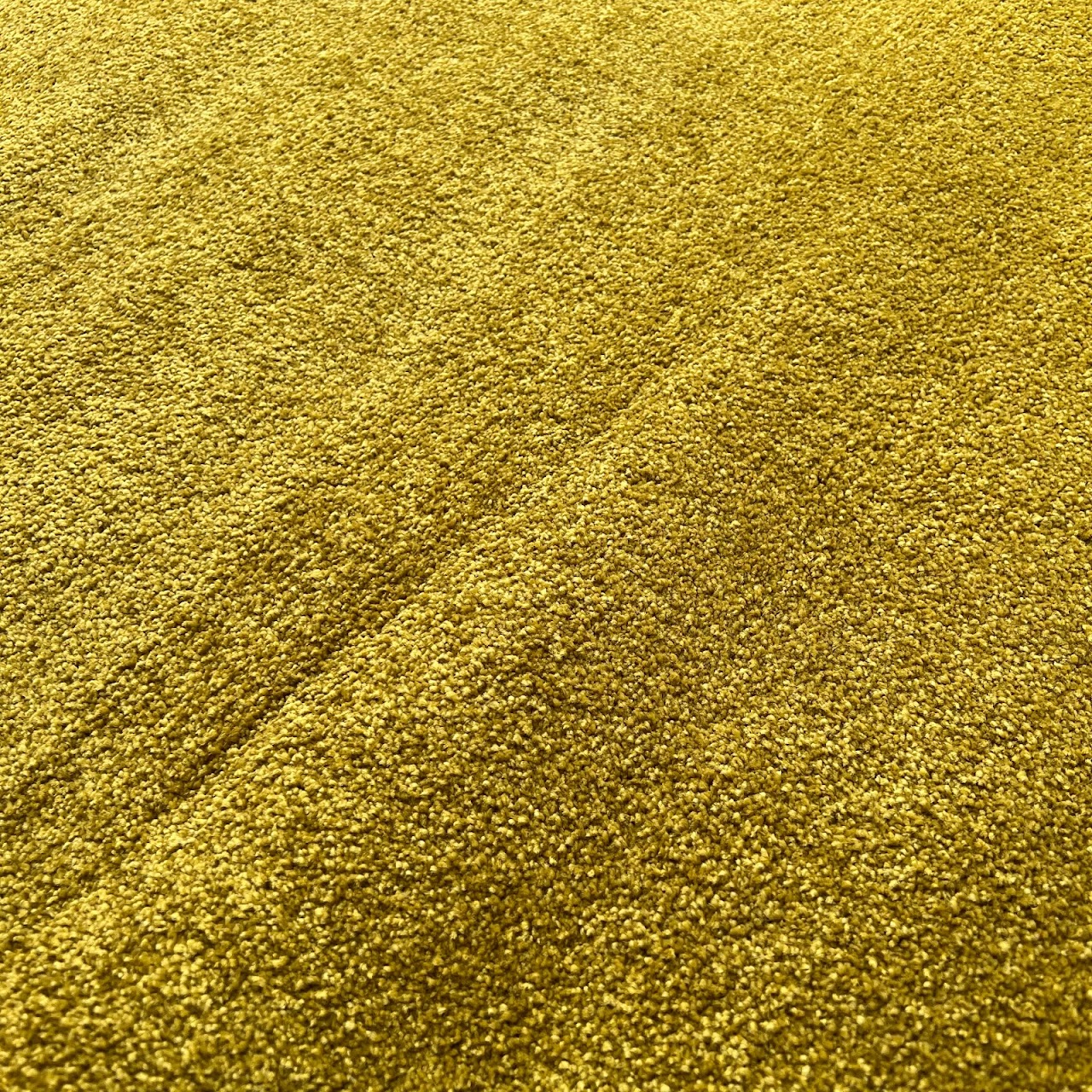 Stark Gold Deep Pile Area Rug