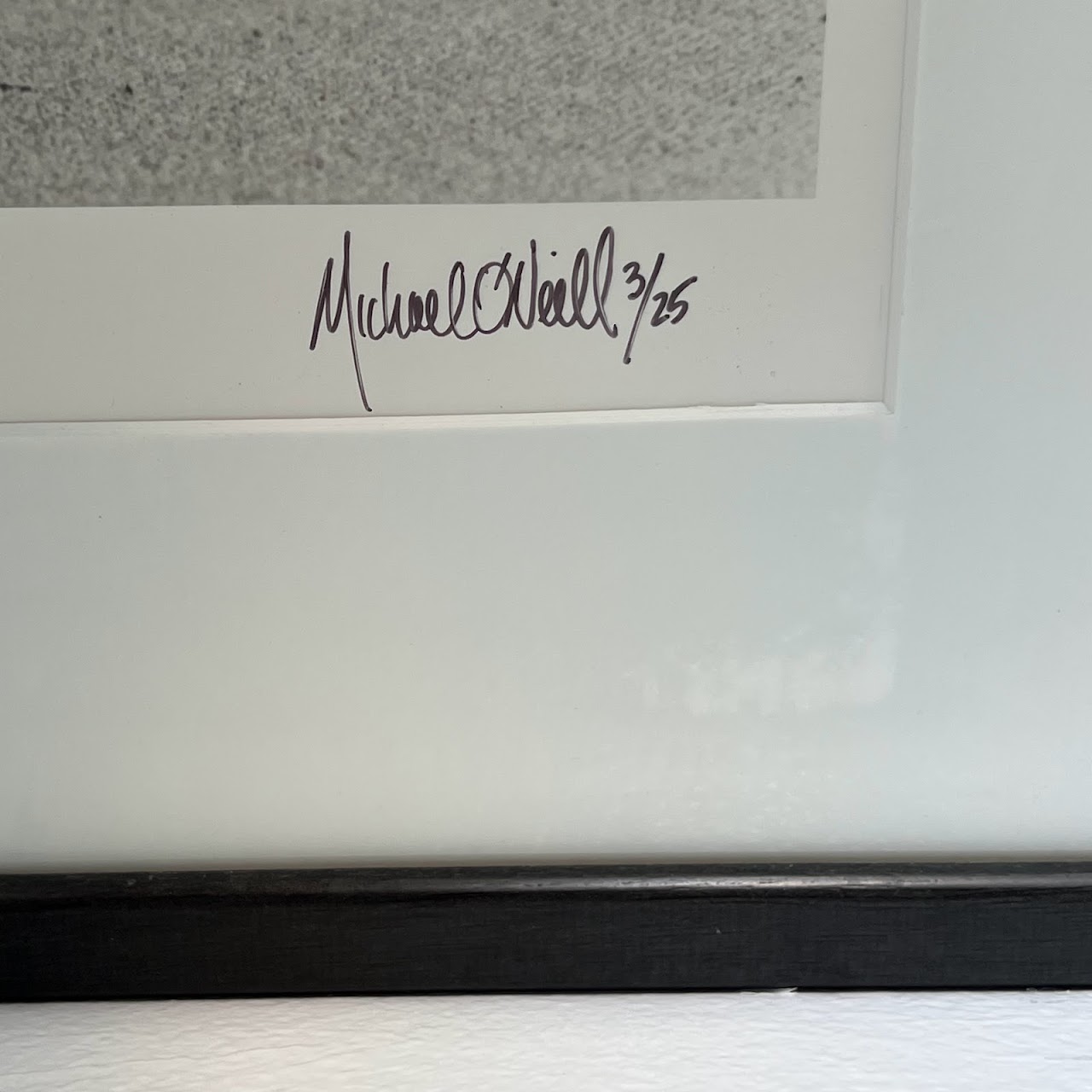 Michael O'Neill Signed 'Sleeping Beauty' Zoobabies Photograph