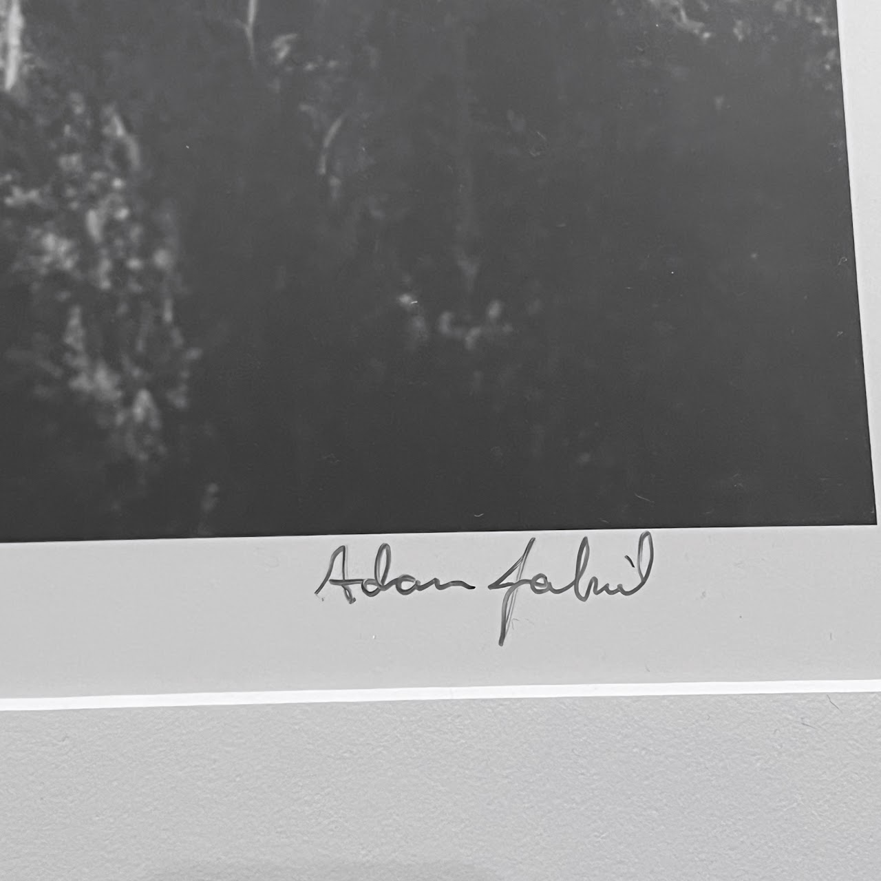 Adam Jahiel 'Horse Shadows' Signed Silver Gelatin Photograph