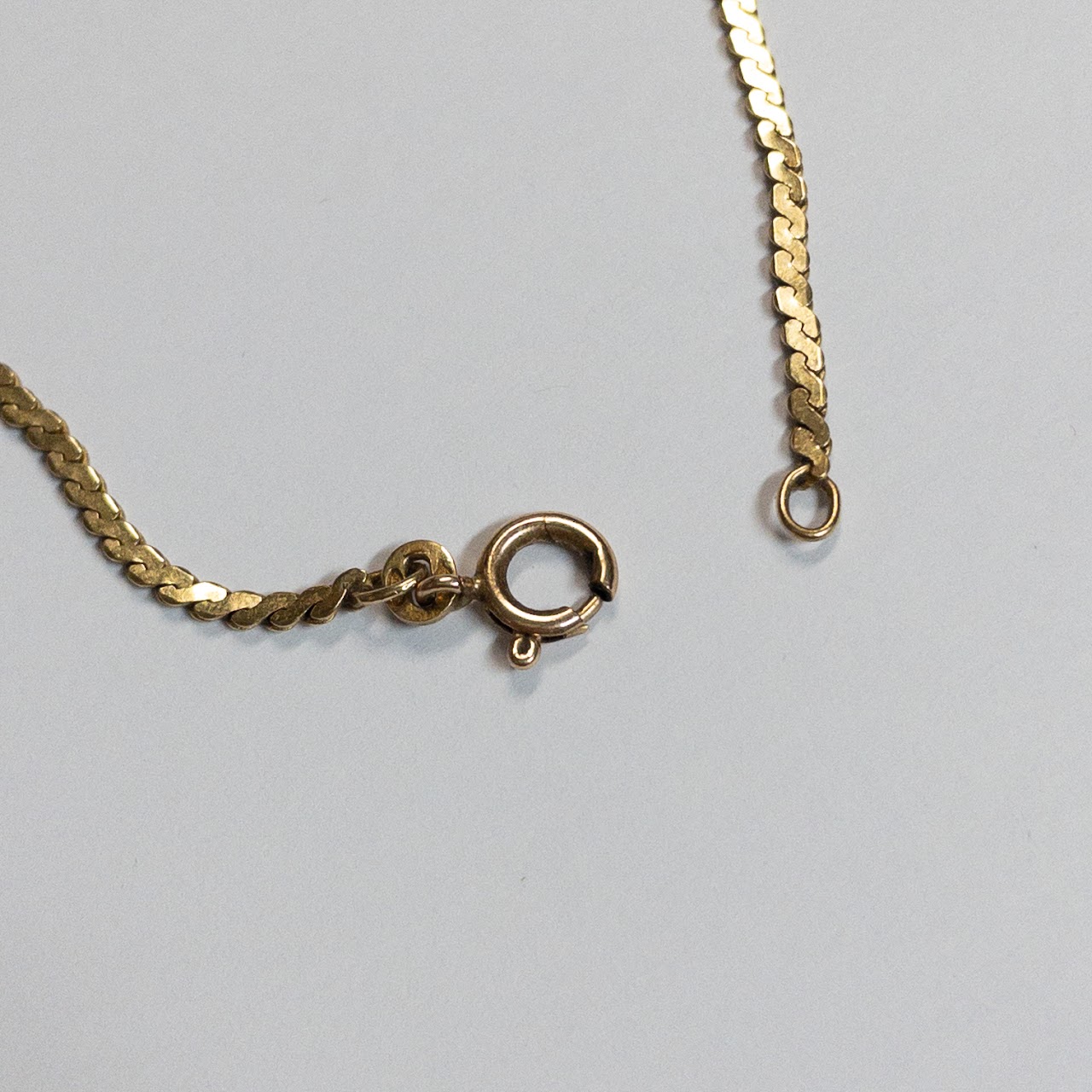 14K Gold Flat Chain Necklace