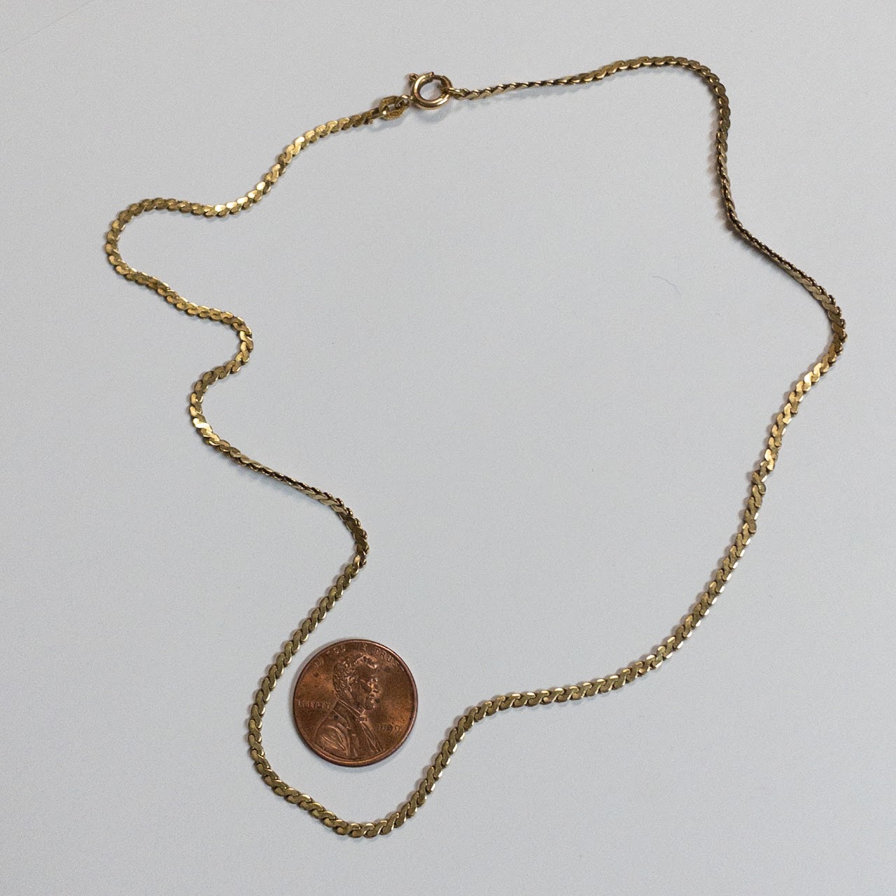 14K Gold Flat Chain Necklace
