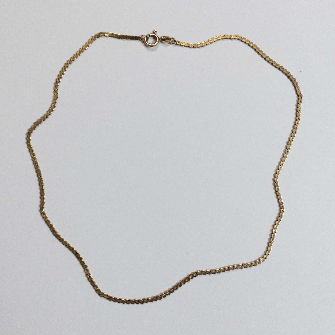 14K Gold Flat Chain Necklace