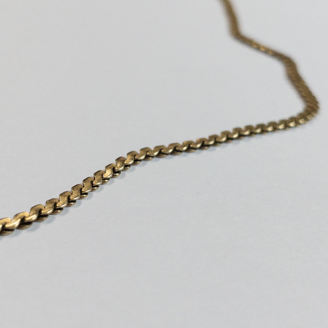 14K Gold Flat Chain Necklace