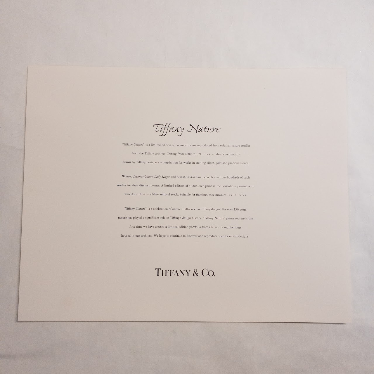 Tiffany & Co. 'Tiffany Nature' Limited Edition Print Folio