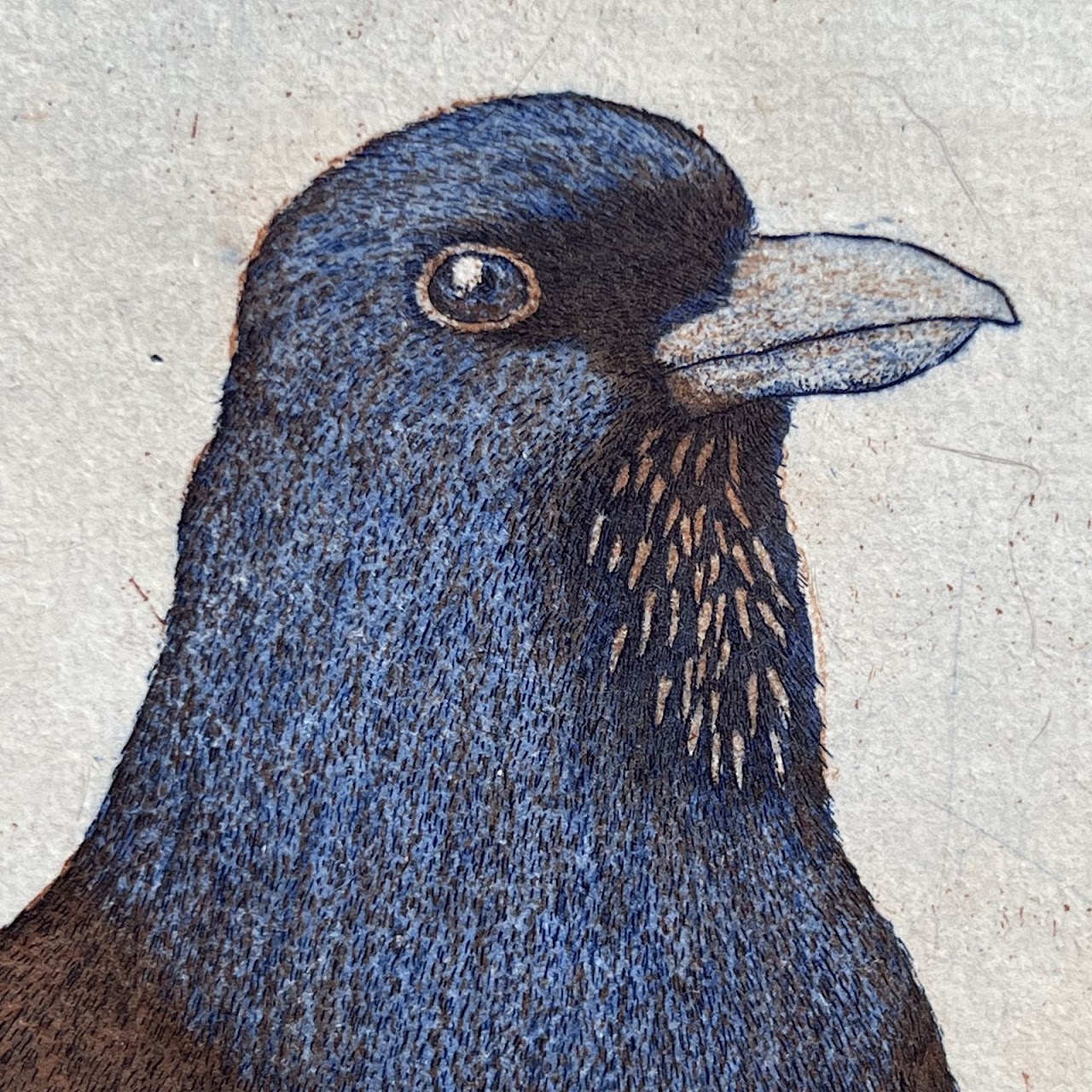 Kyoko Imazu & Bridget Farmer 'Lidth's Jay' Signed Etching and Aquatint