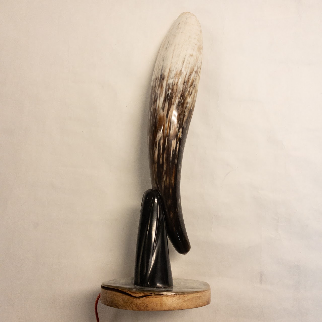 Polished Cow Horn Table Lamp