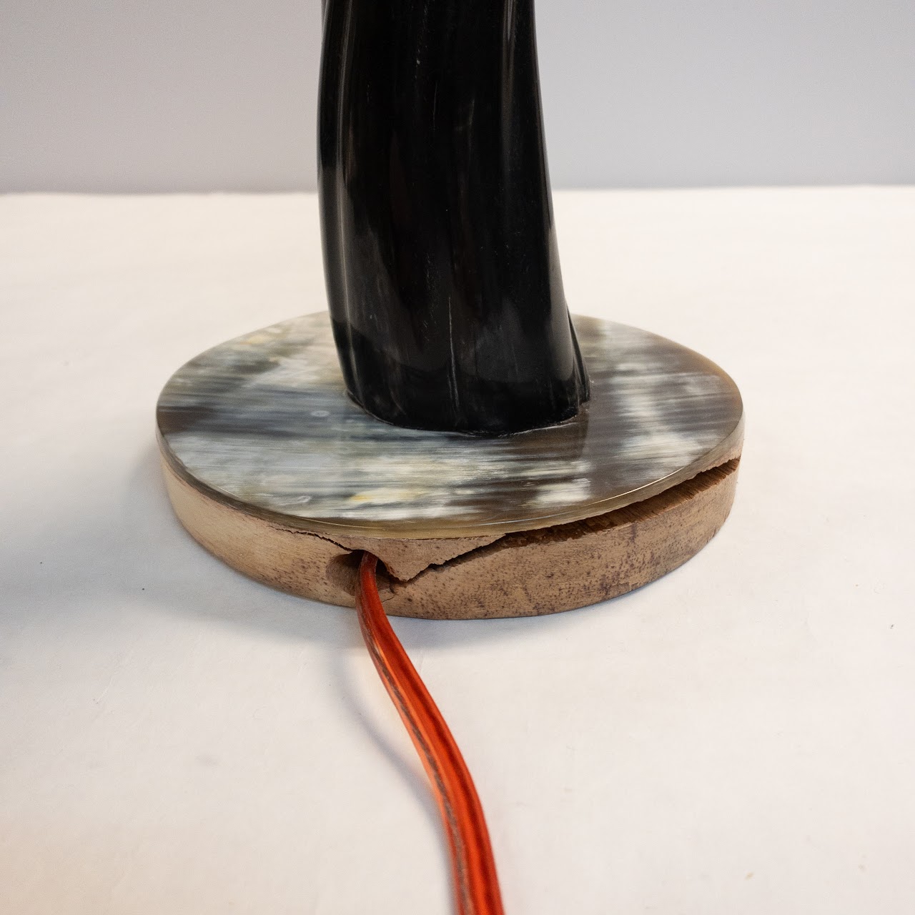 Polished Cow Horn Table Lamp