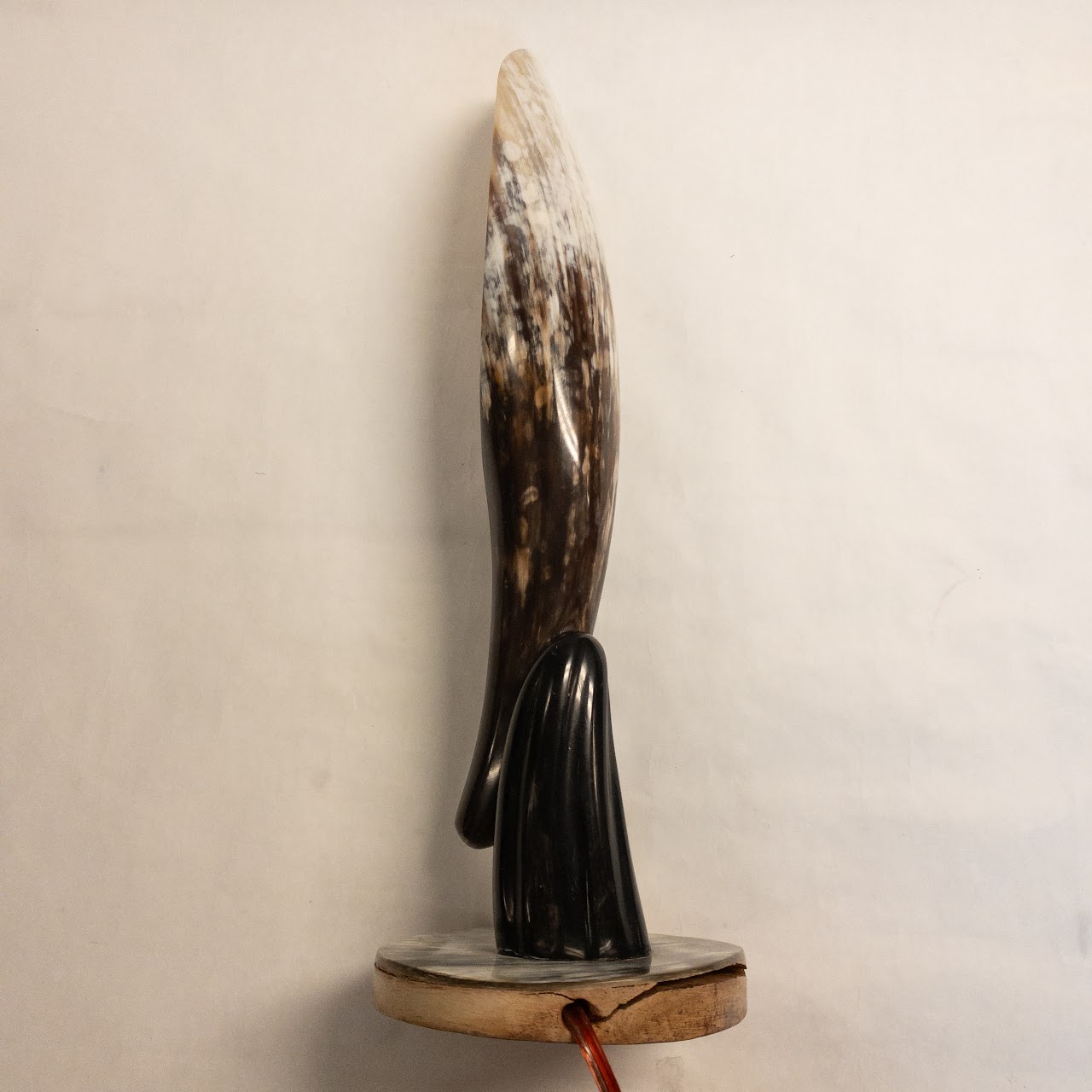 Polished Cow Horn Table Lamp