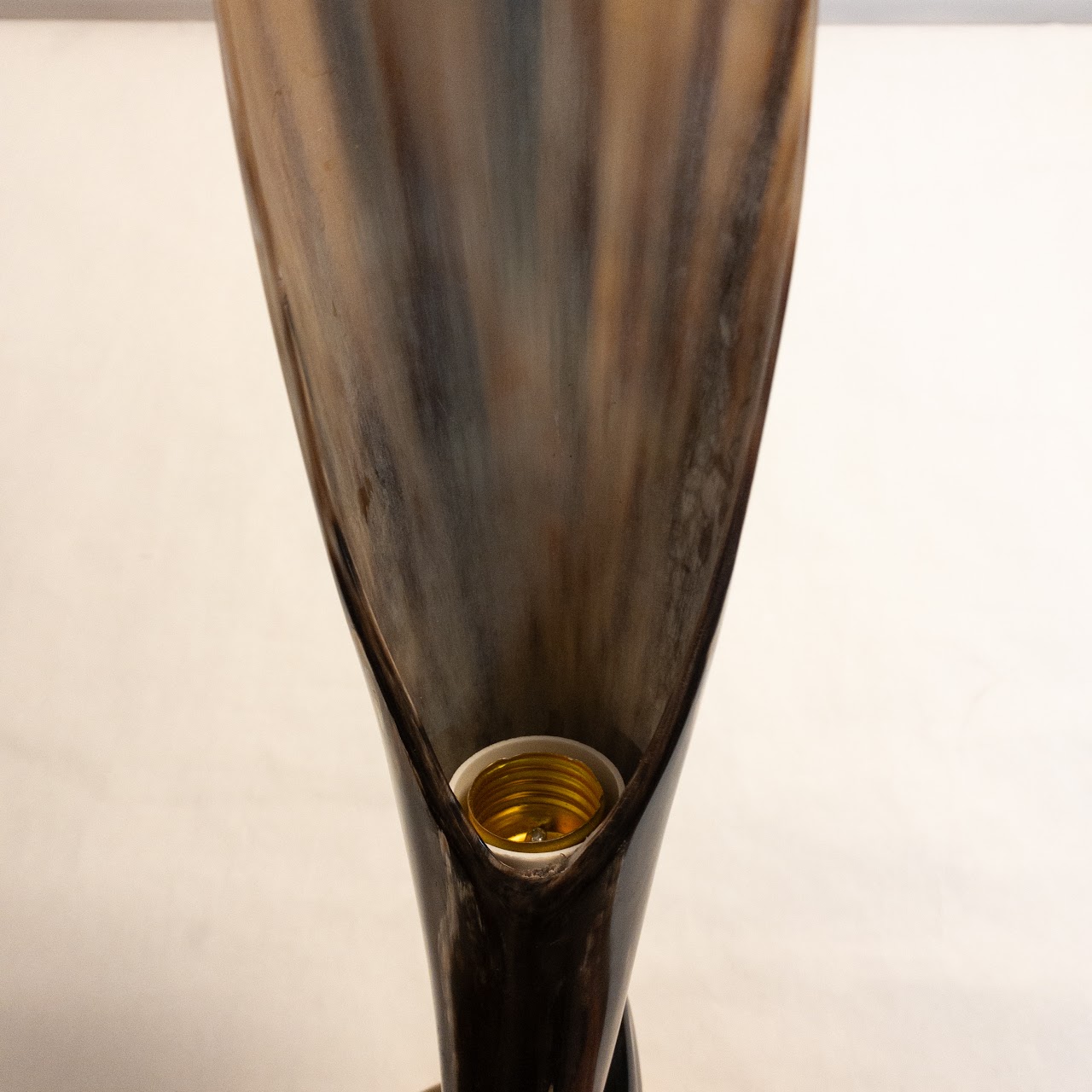 Polished Cow Horn Table Lamp