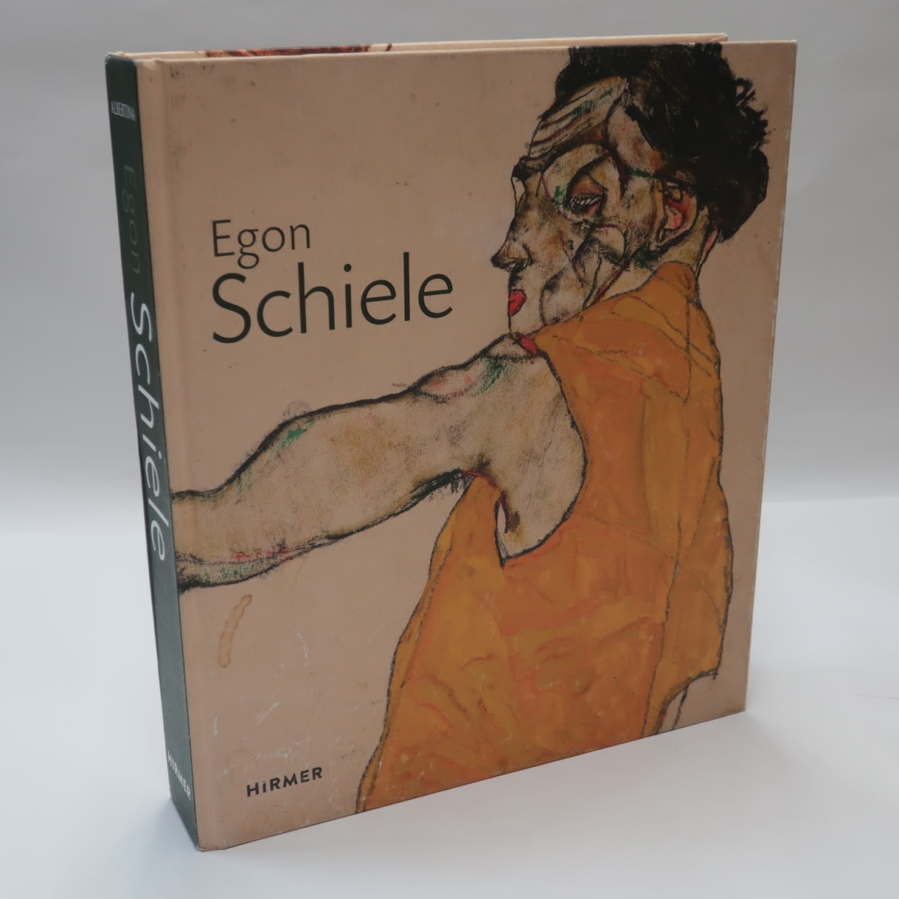 Egon Schiele: Drawing the World Book