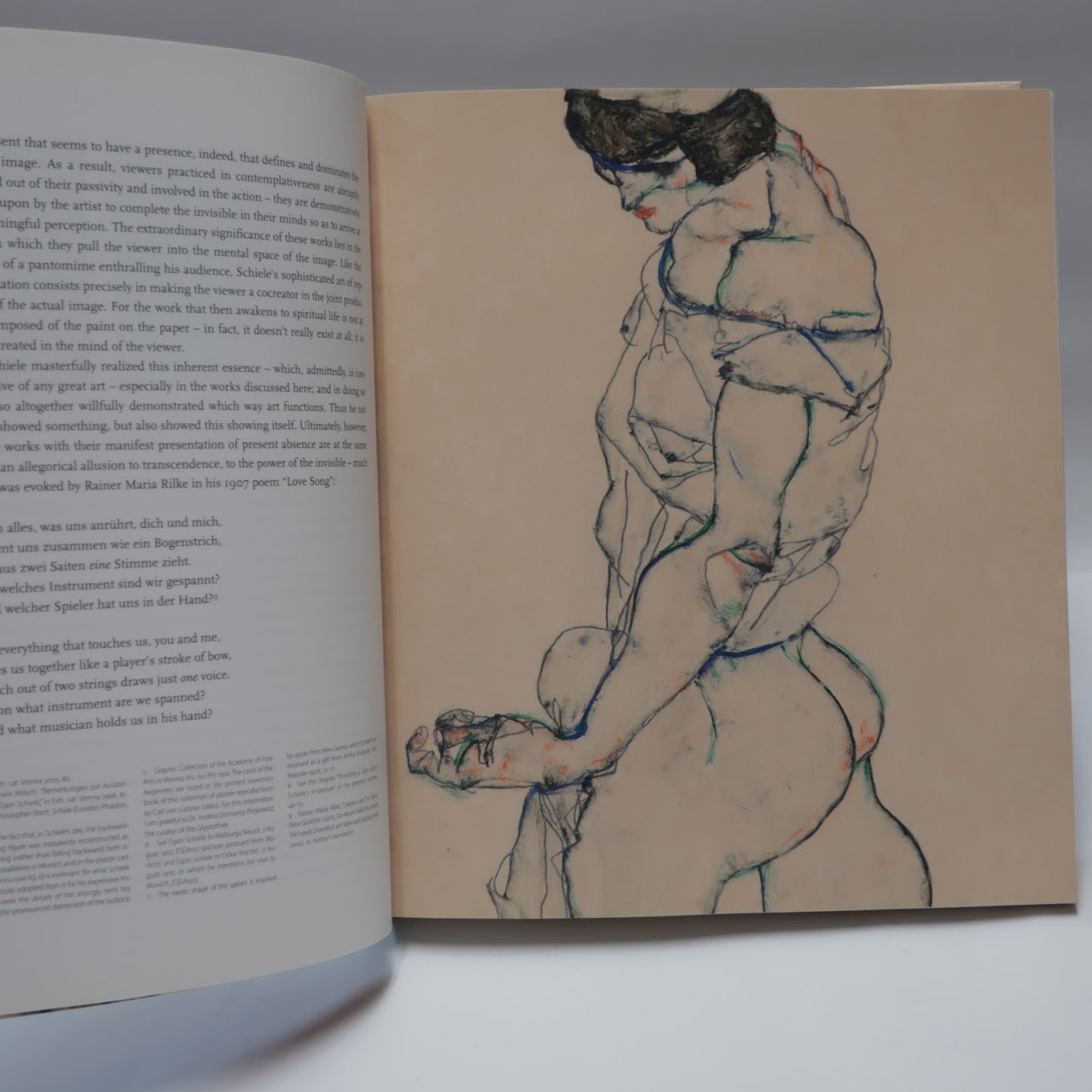 Egon Schiele: Drawing the World Book