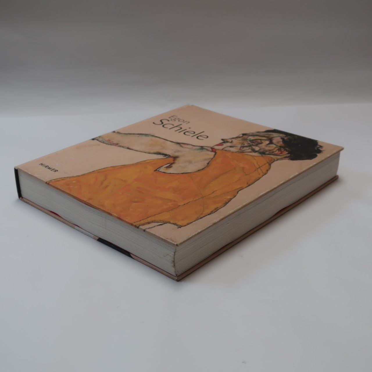 Egon Schiele: Drawing the World Book