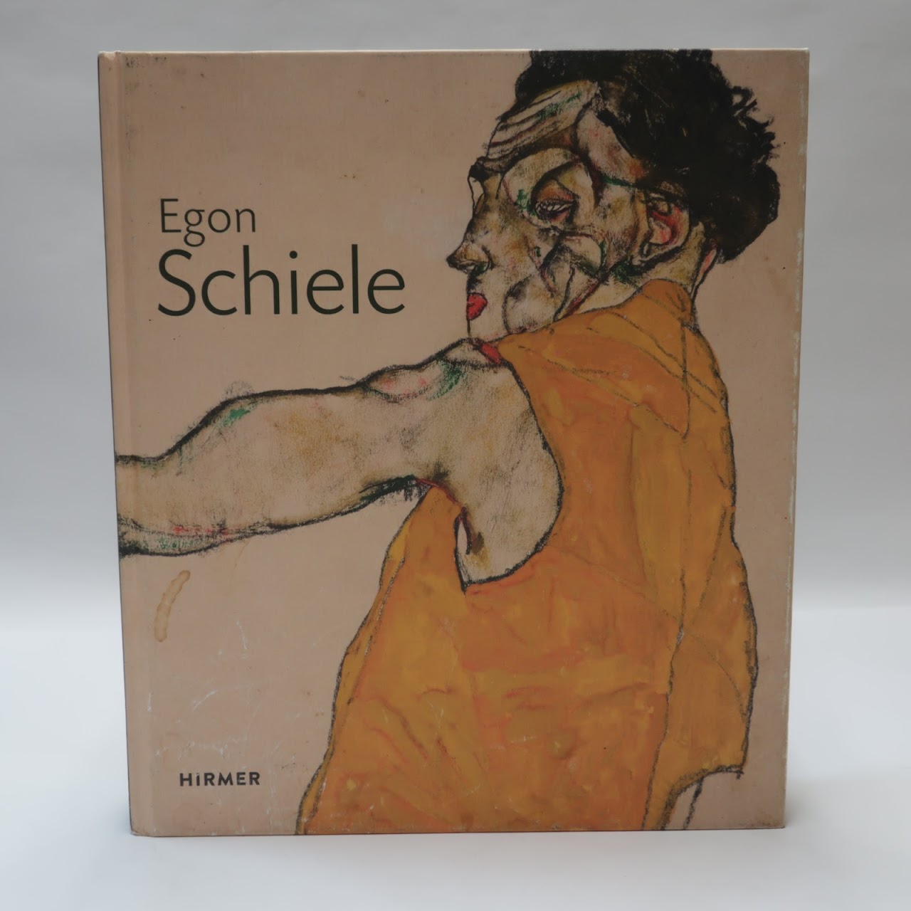 Egon Schiele: Drawing the World Book