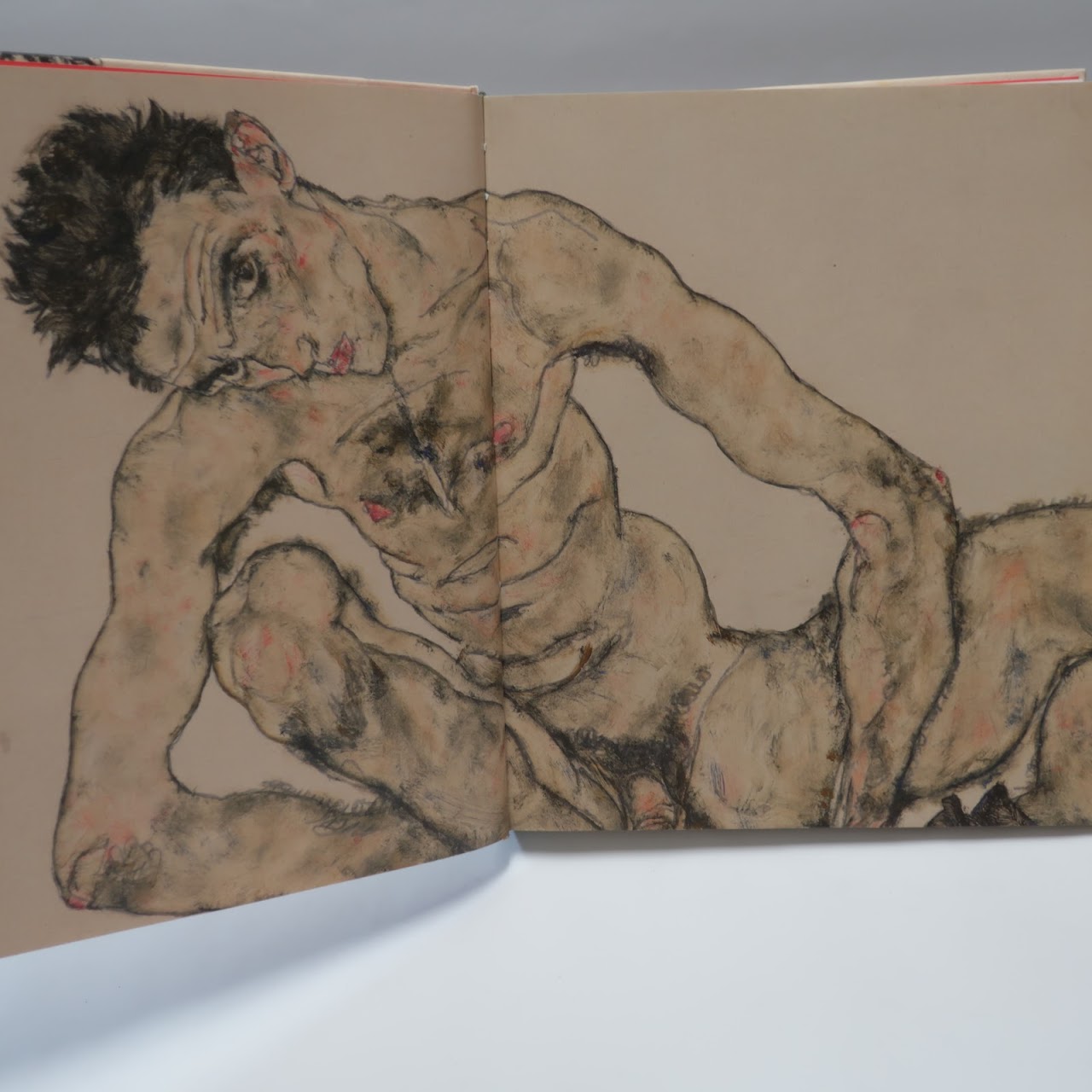 Egon Schiele: Drawing the World Book