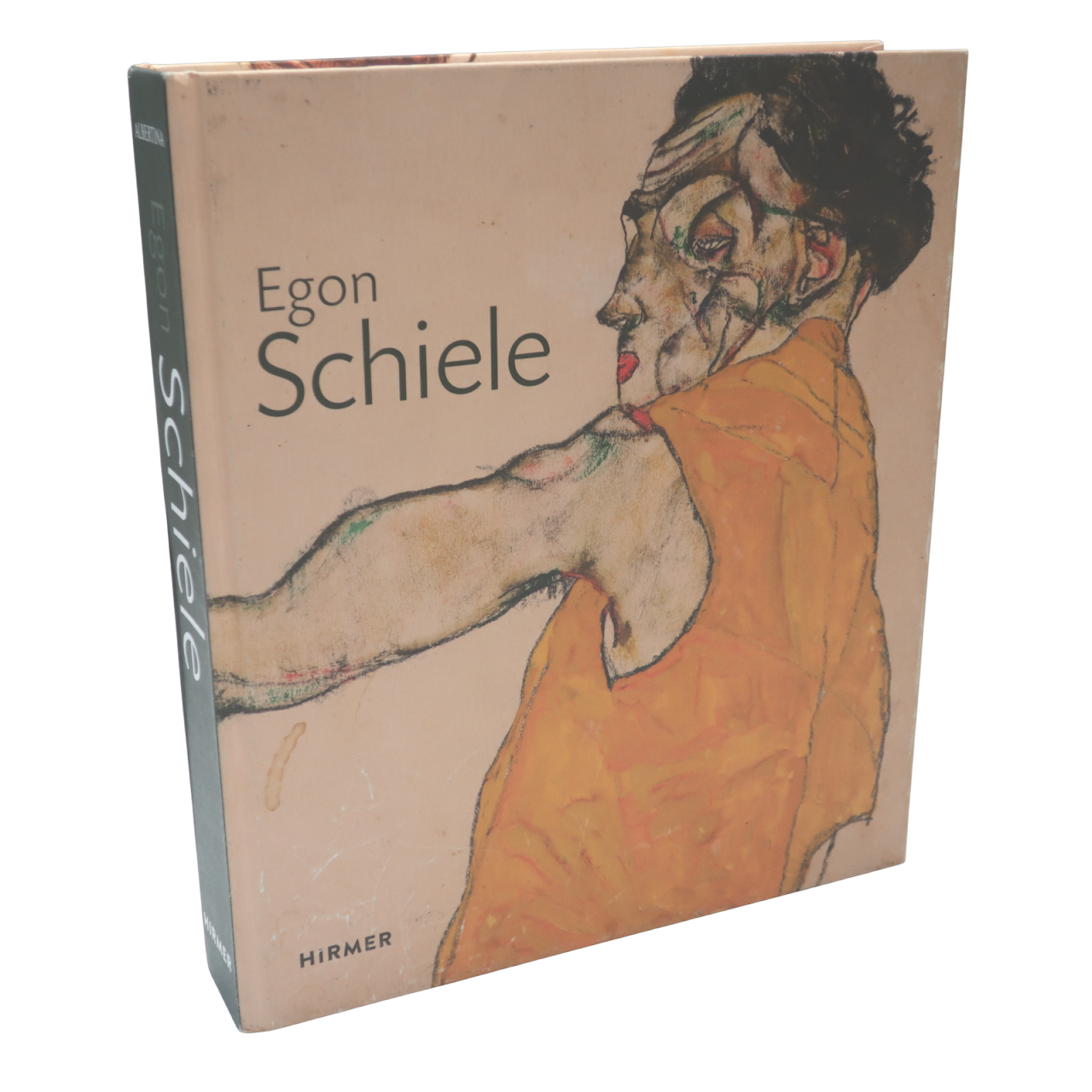 Egon Schiele: Drawing the World Book