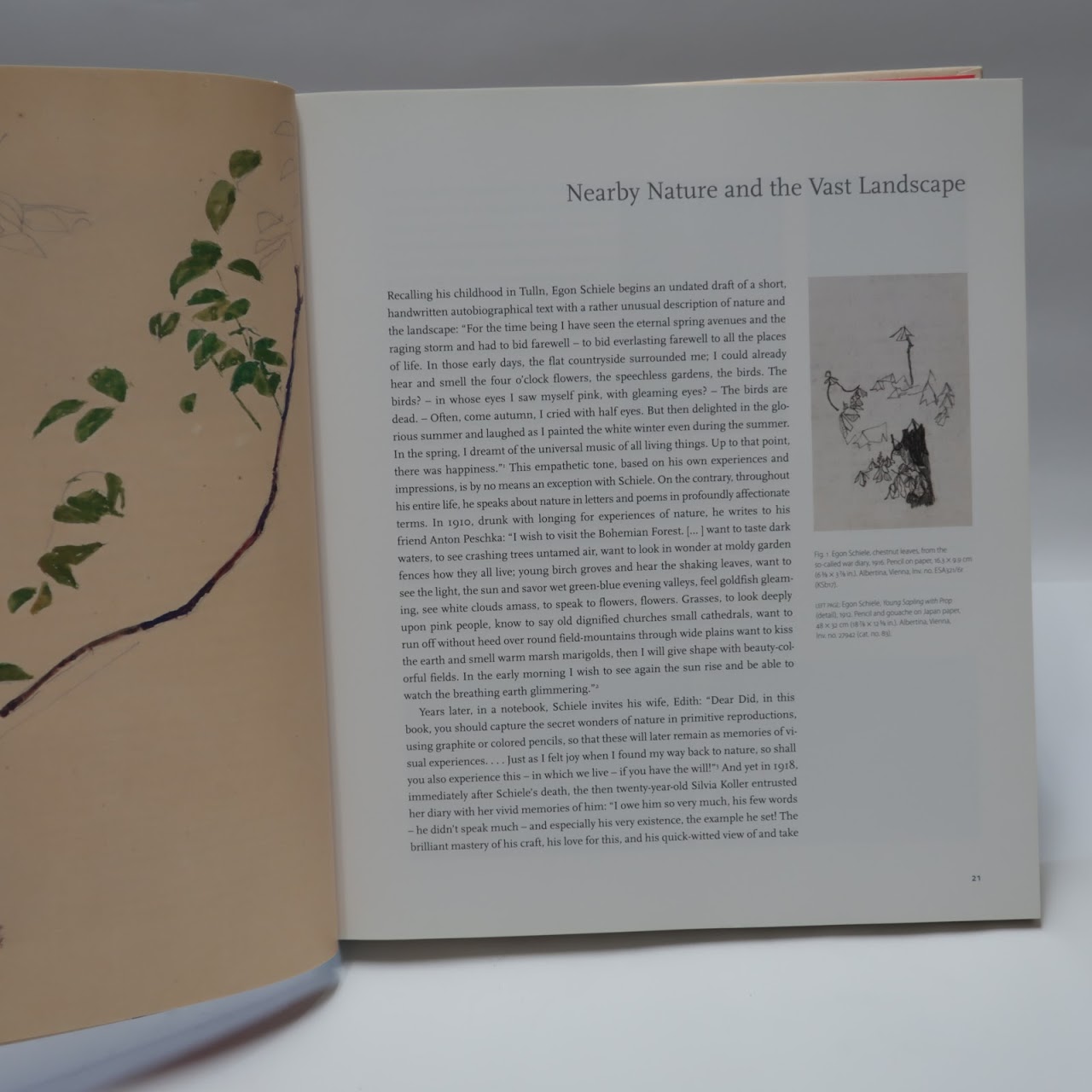 Egon Schiele: Drawing the World Book