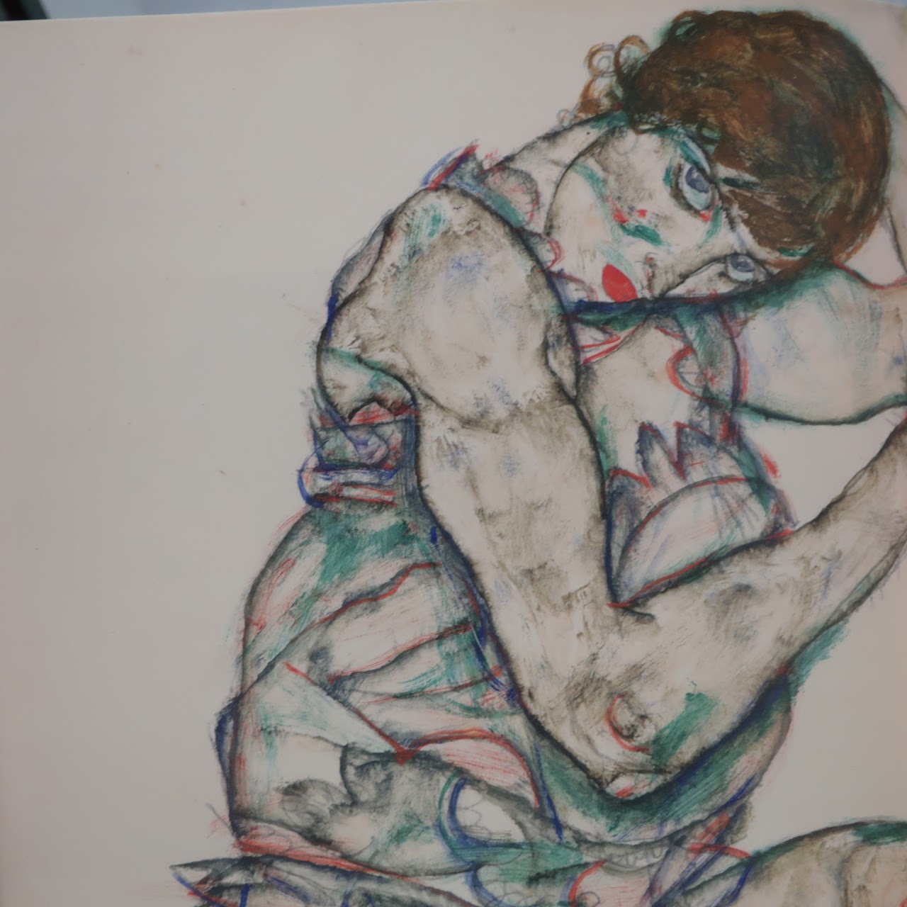 Egon Schiele: Drawing the World Book