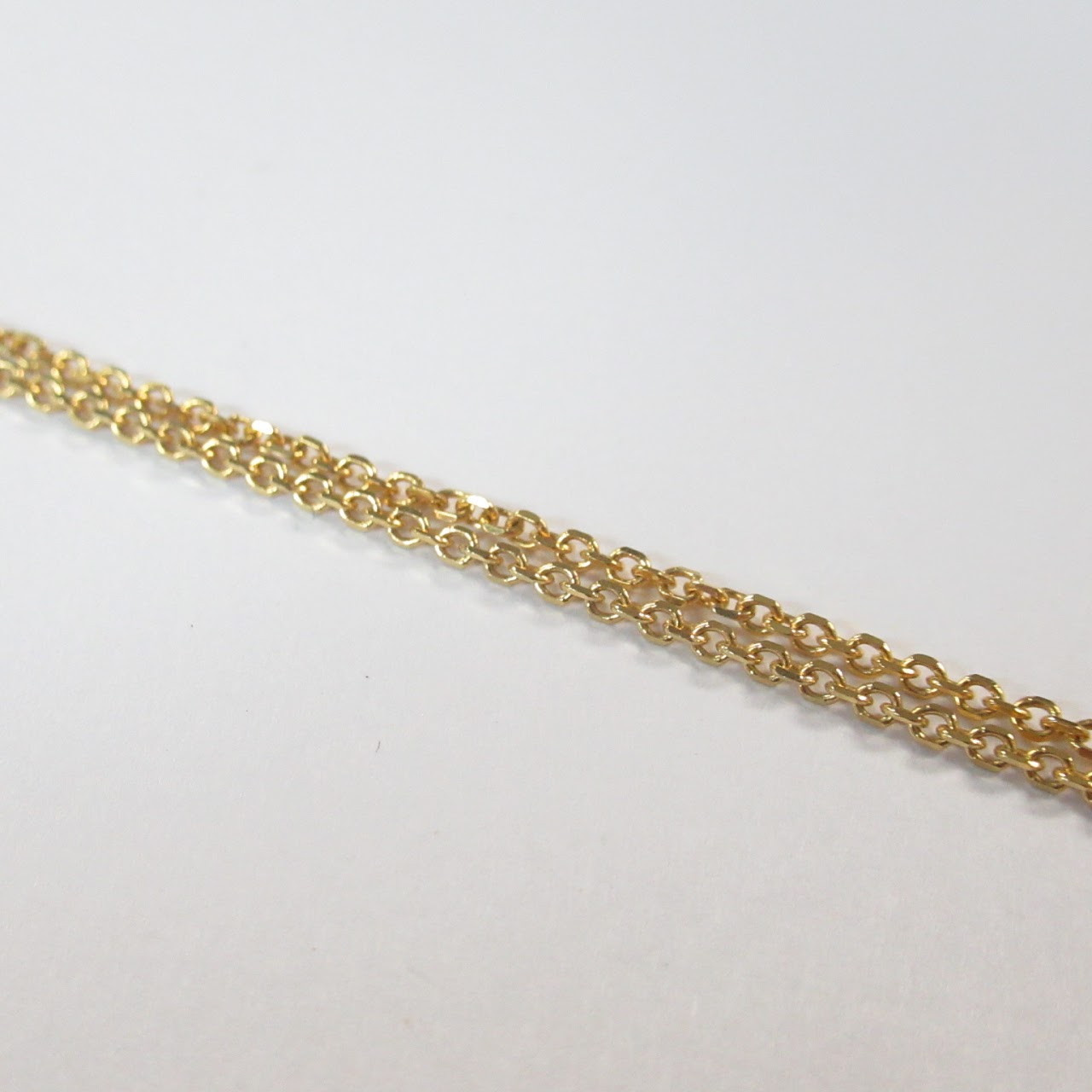 14K Gold Chain R.C.I. Necklace