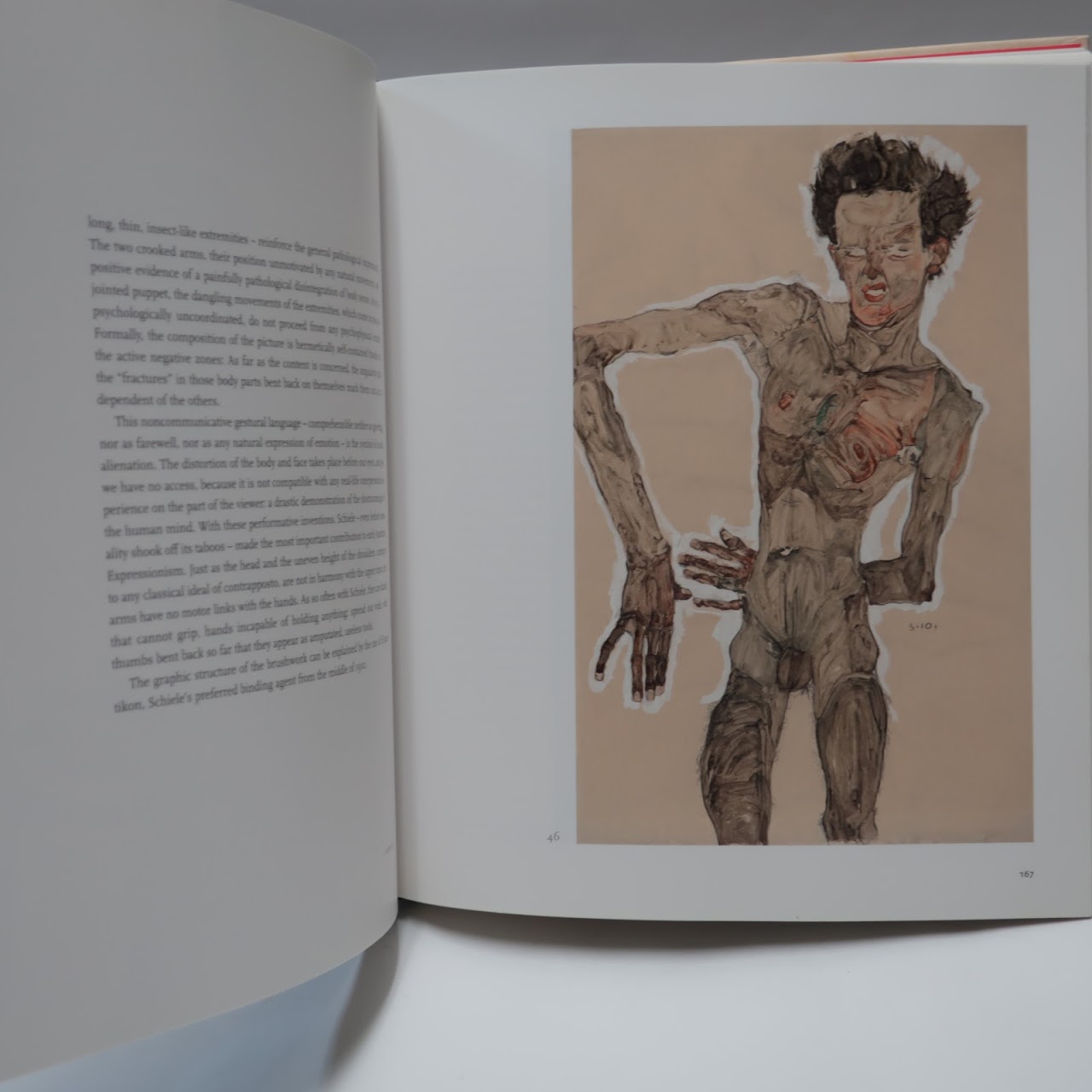 Egon Schiele: Drawing the World Book