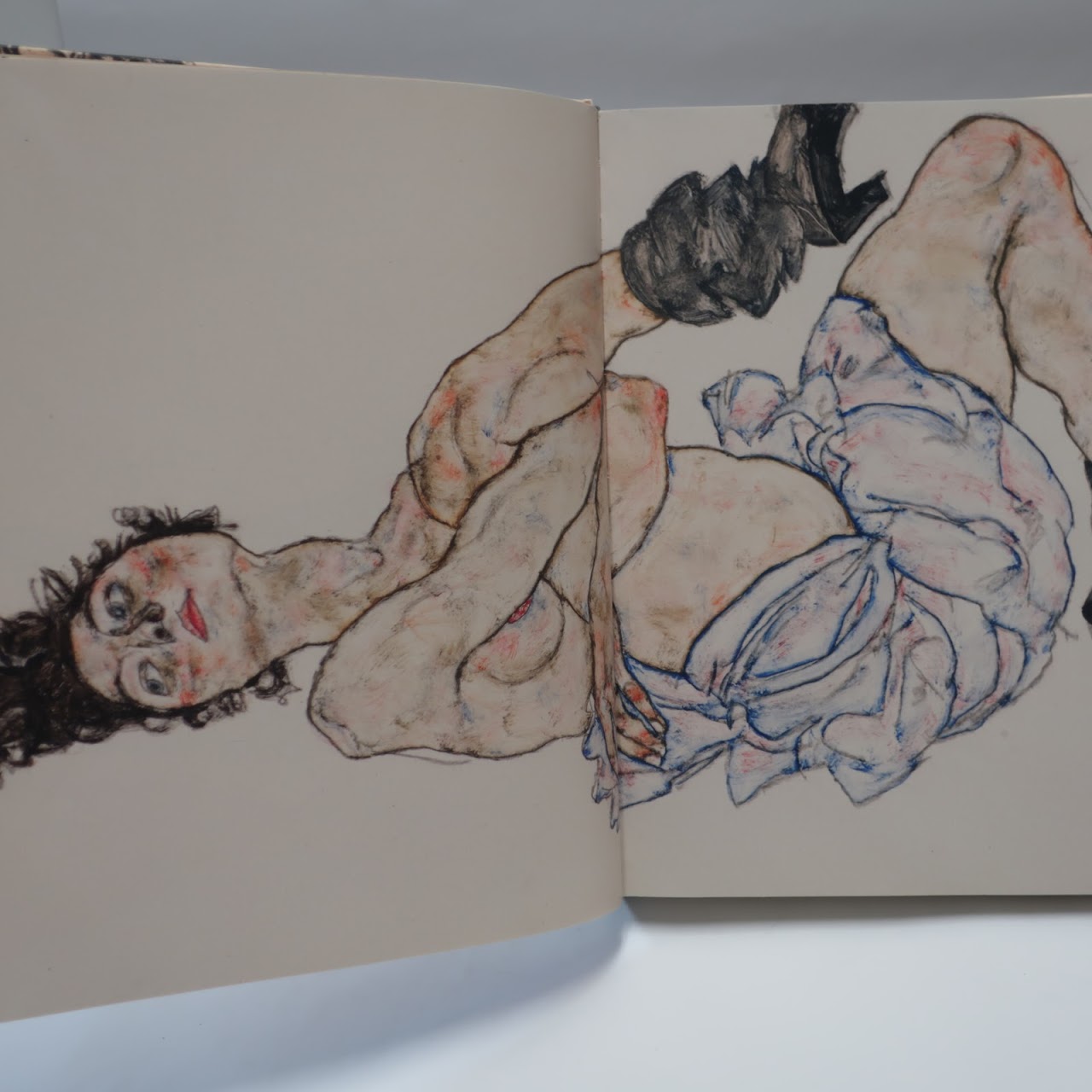 Egon Schiele: Drawing the World Book