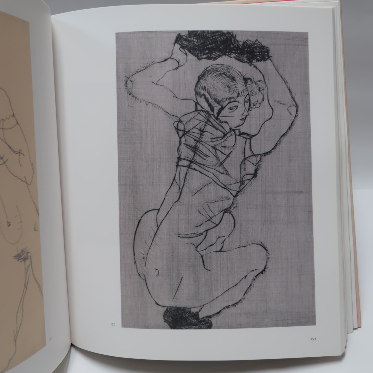 Egon Schiele: Drawing the World Book