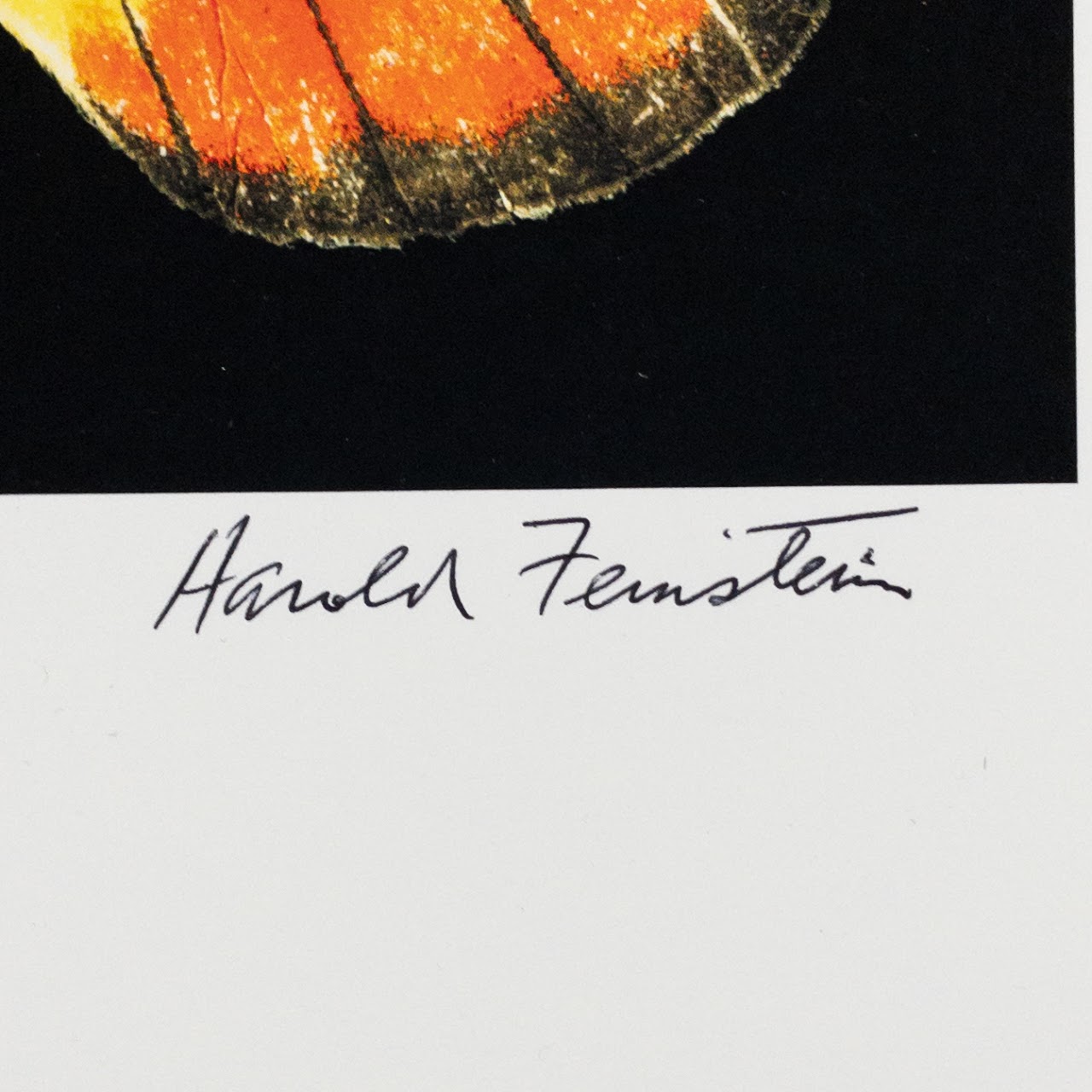 Harold Feinstein Butterfly Color Scanograph Duo