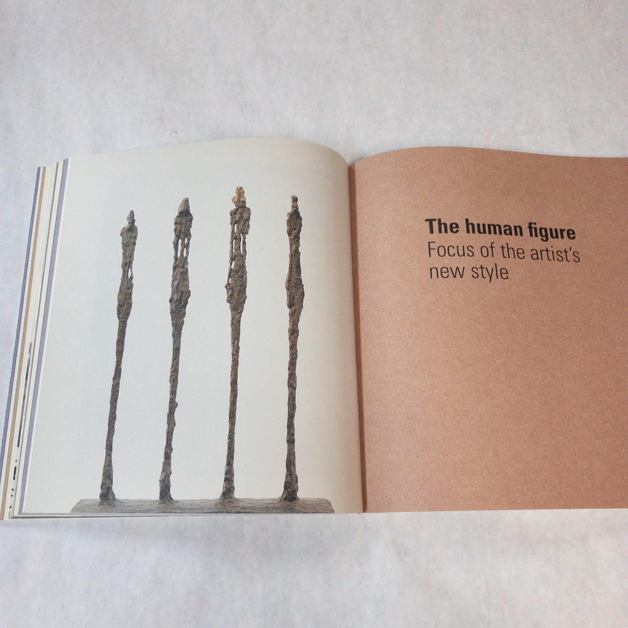 'Alberto Giacometti' Book