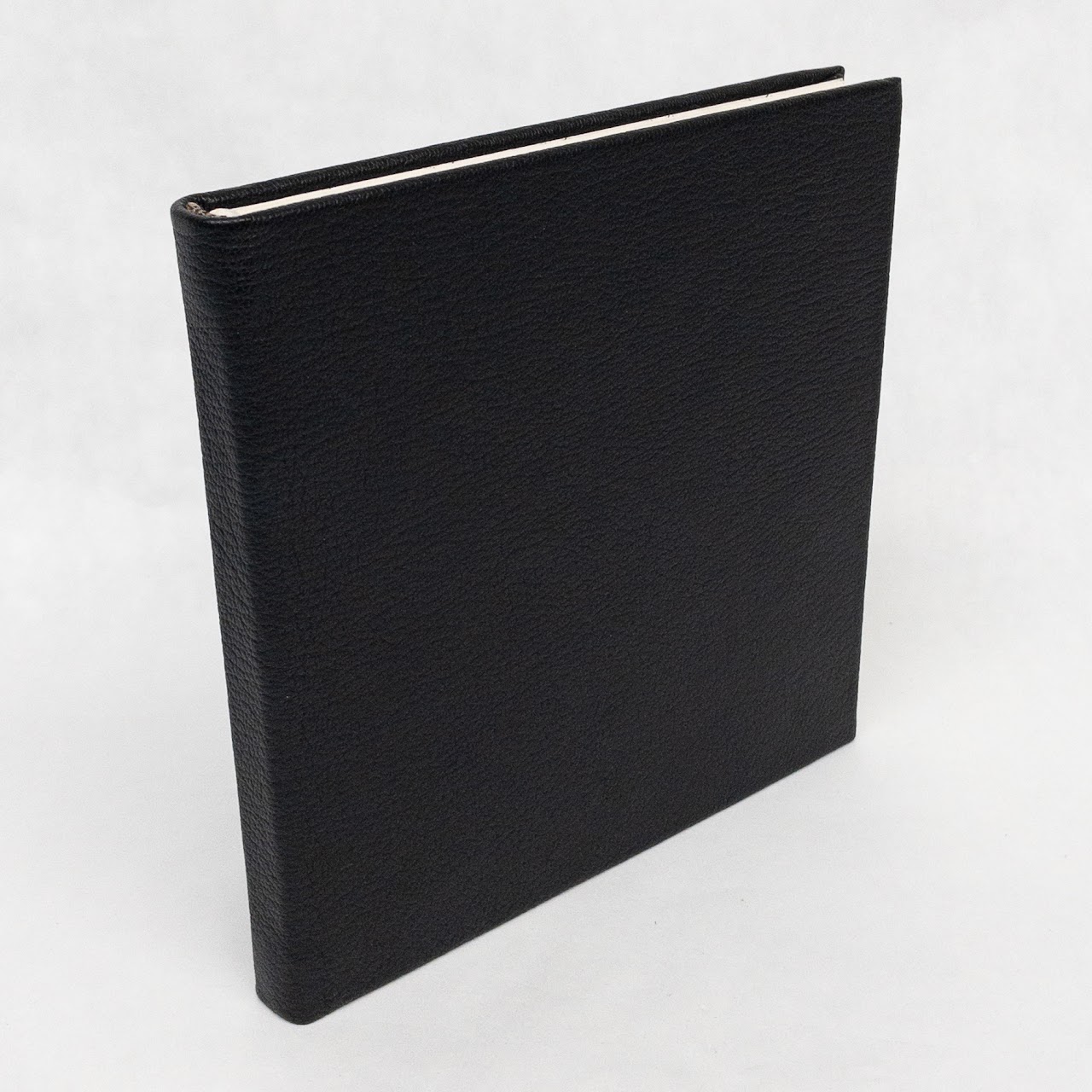 Tiffany & Co. NEW Leather Bound Blank Journal