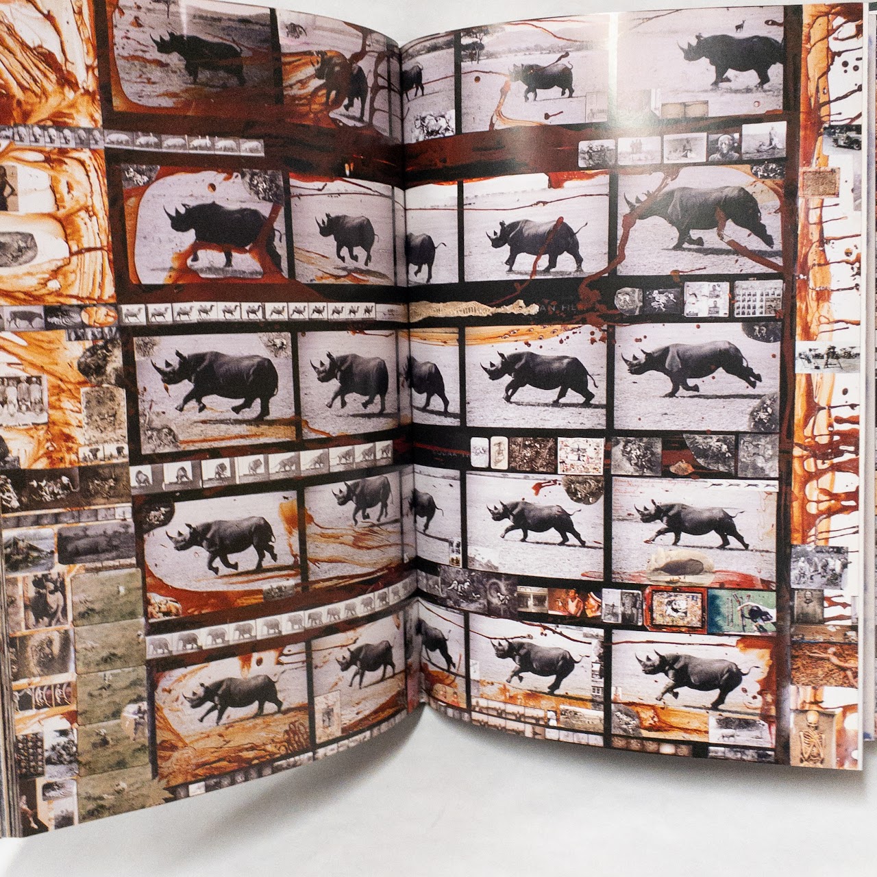 Owen Edwards & Steven ML Aronson 'Peter Beard' Book