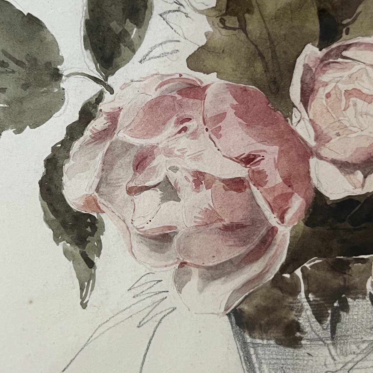 Still Life with Peonies Watercolor and Pencil Painting