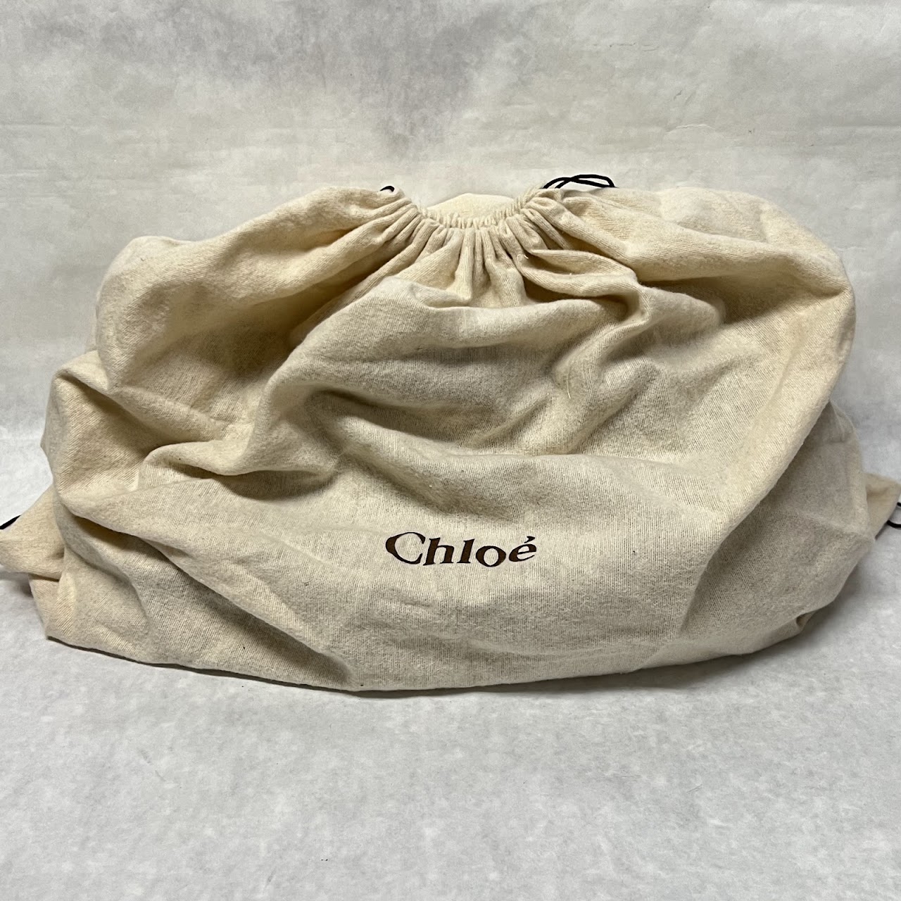 Chloé Lambskin Tekla Hand Bag